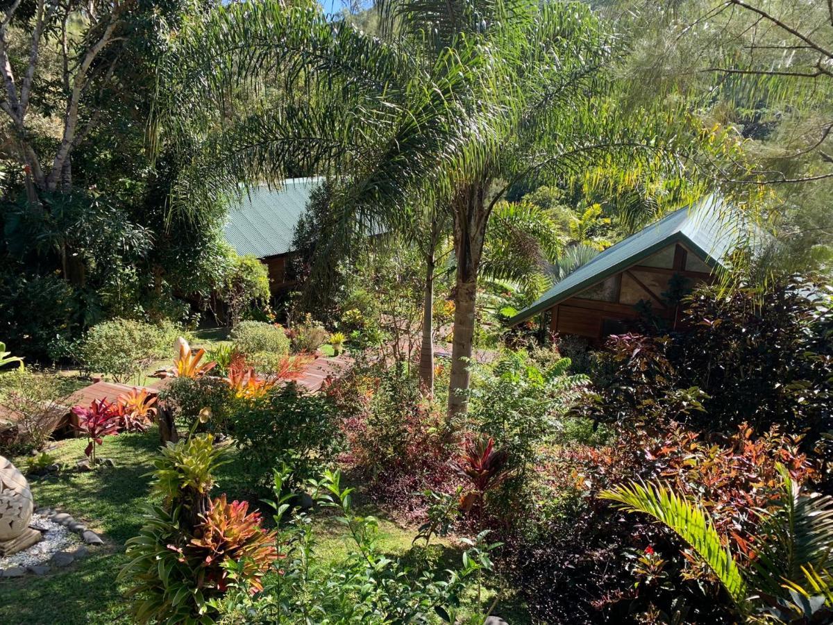 Le Nirvana - Oasis De Tendea - Farino ภายนอก รูปภาพ