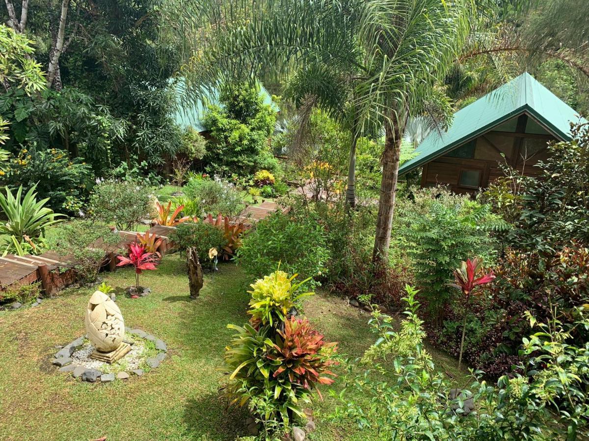 Le Nirvana - Oasis De Tendea - Farino ภายนอก รูปภาพ