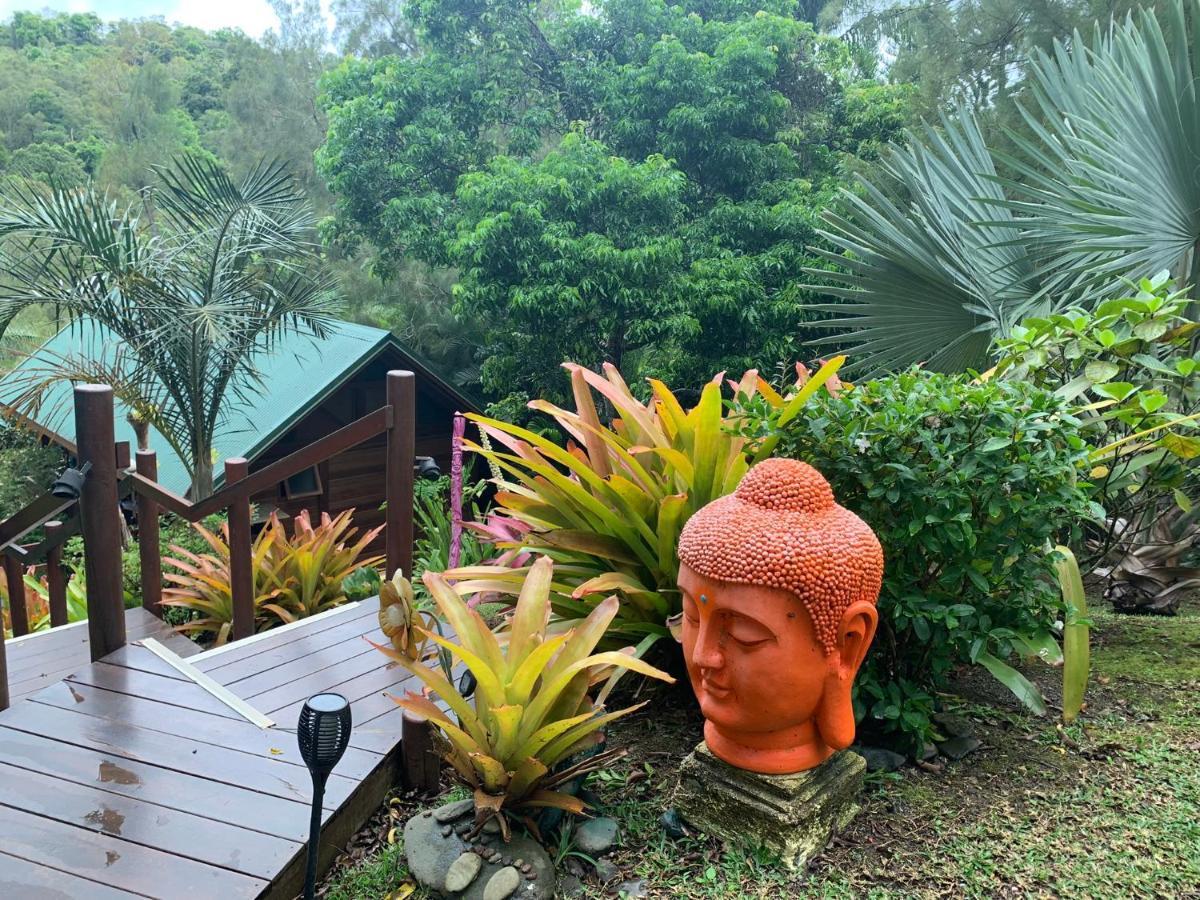 Le Nirvana - Oasis De Tendea - Farino ภายนอก รูปภาพ
