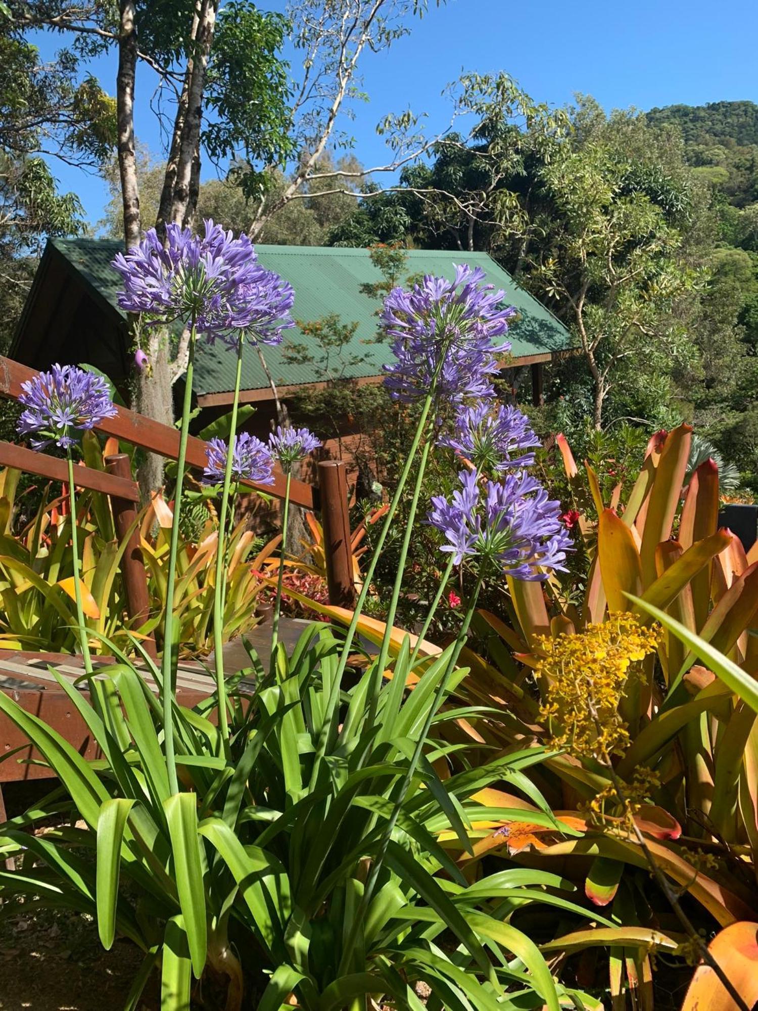 Le Nirvana - Oasis De Tendea - Farino ภายนอก รูปภาพ